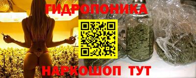 ALPHA PVP Кунгур