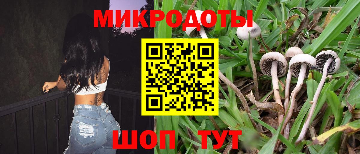 Галлюциногенные грибы Cubensis Вязники