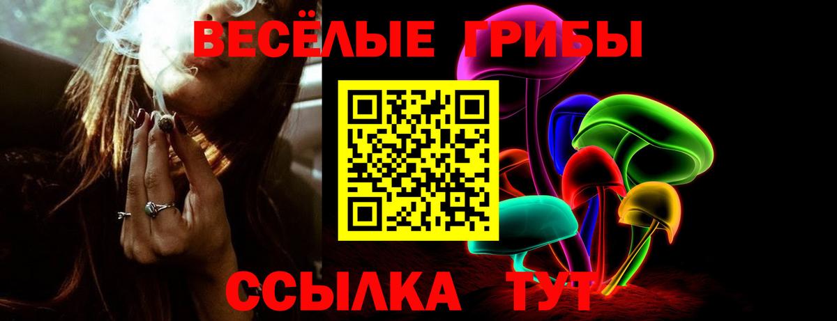 Псилоцибиновые грибы ЛСД  Псилоцибиновые грибы Cubensis  Вход с VPN  Вязники 